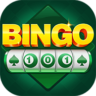 Bingo 101 